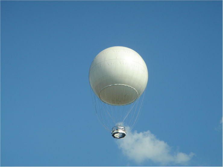 Picture of White Balloon